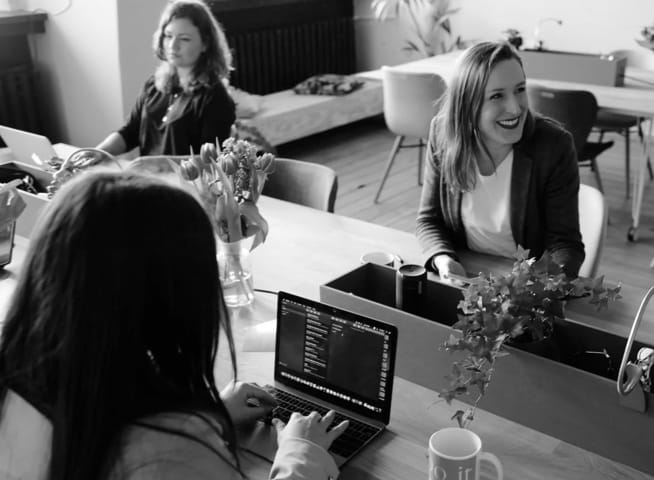 Programmer girls working in the nice pleasant atmosphere office